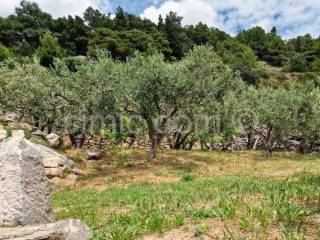 Poljoprivredno zemljište, Prodaja, Bol, Bol