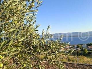 Poljoprivredno zemljište, Prodaja, Bol, Bol