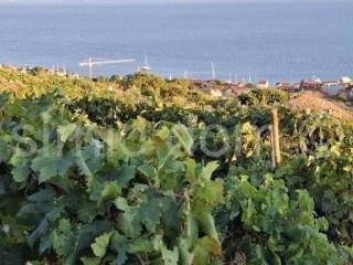 Poljoprivredno zemljište, Prodaja, Bol, Bol