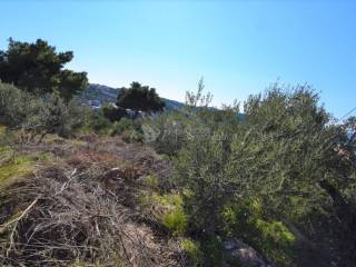 Građevinsko zemljište, Prodaja, Konavle, Cavtat