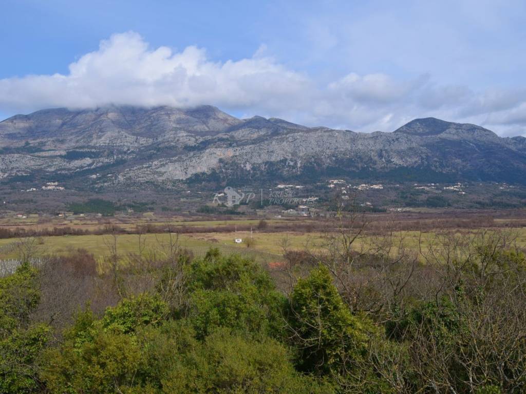 Poljoprivredno zemljište, Prodaja, Konavle, Pridvorje