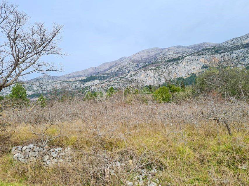 Poljoprivredno zemljište, Prodaja, Konavle, Pridvorje