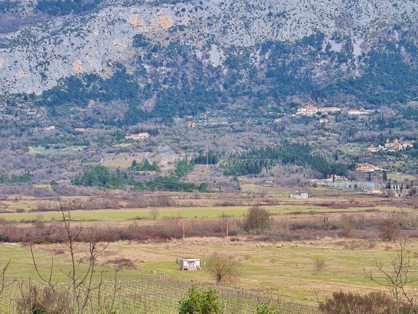 Poljoprivredno zemljište, Prodaja, Konavle, Pridvorje
