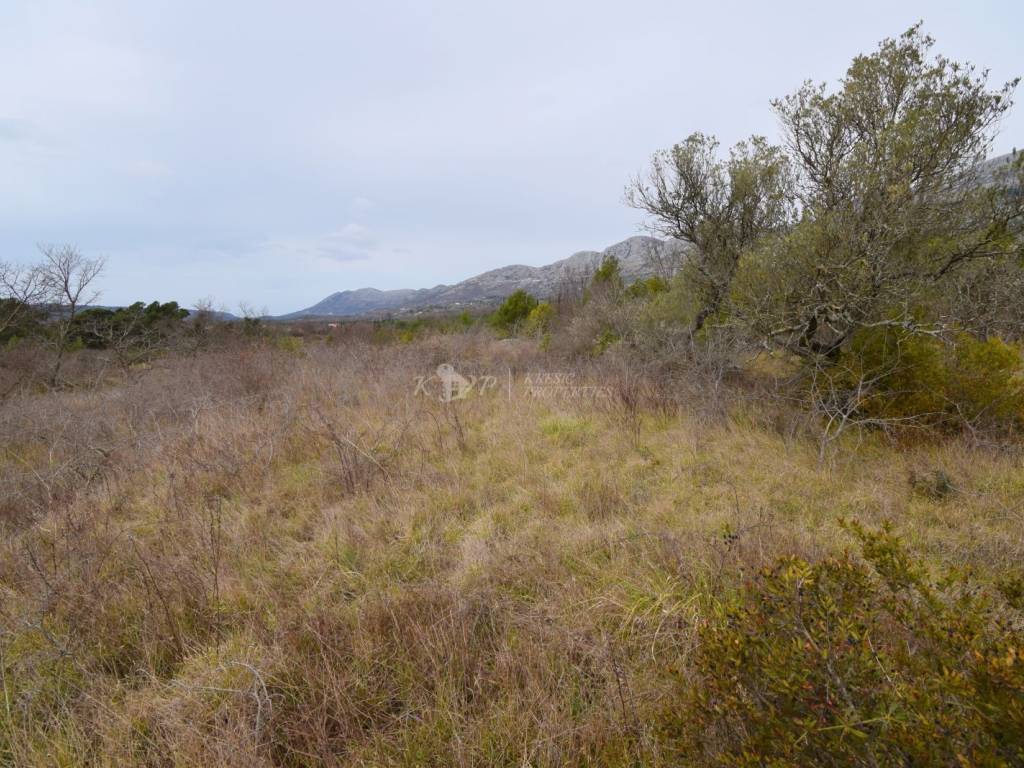 Poljoprivredno zemljište, Prodaja, Konavle, Pridvorje
