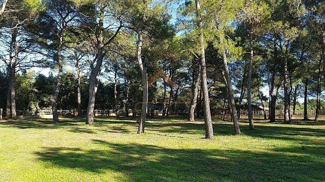 Construction plot for tourism, Sale, Rovinj, Rovinj