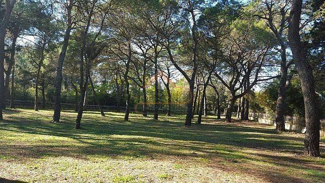 Construction plot for tourism, Sale, Rovinj, Rovinj