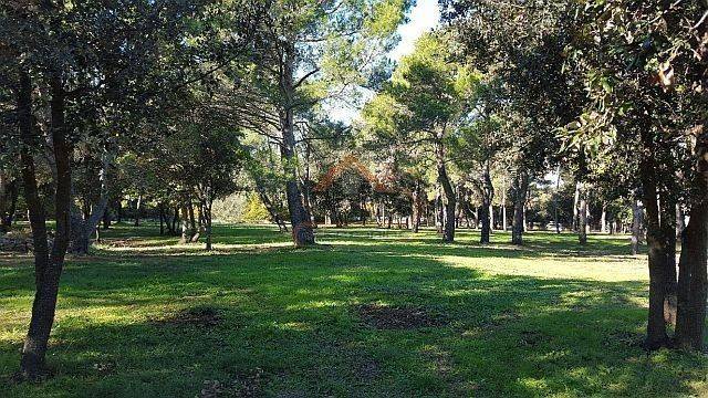 Construction plot for tourism, Sale, Rovinj, Rovinj