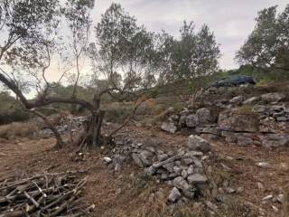 Plot for construction, Sale, Korčula, Čara