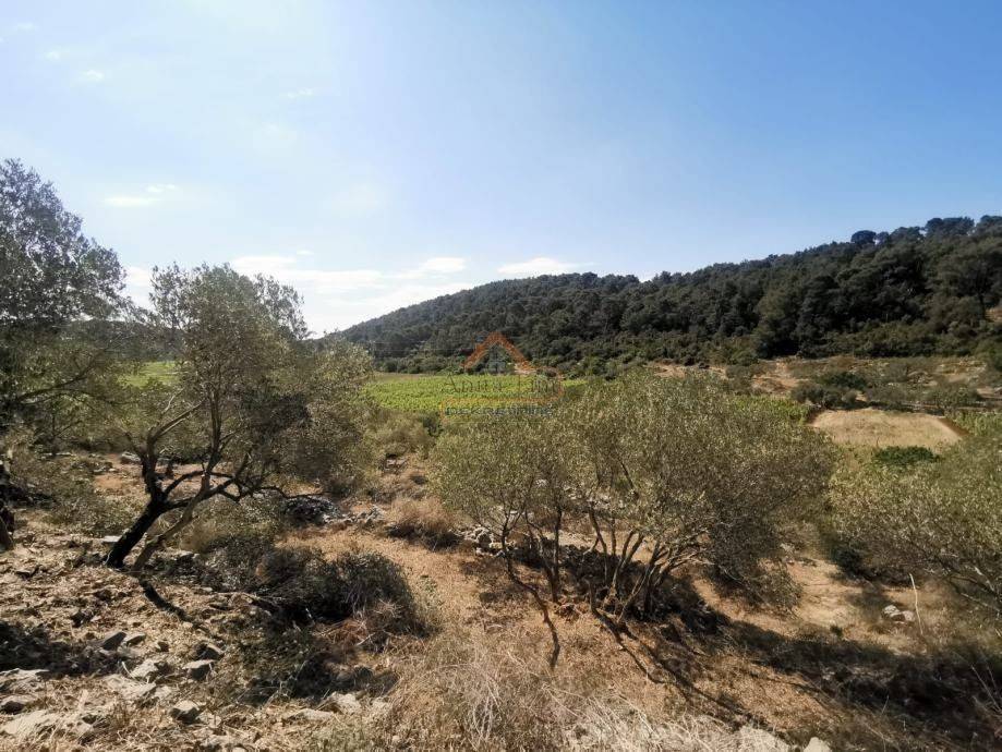 Plot for construction, Sale, Korčula, Čara