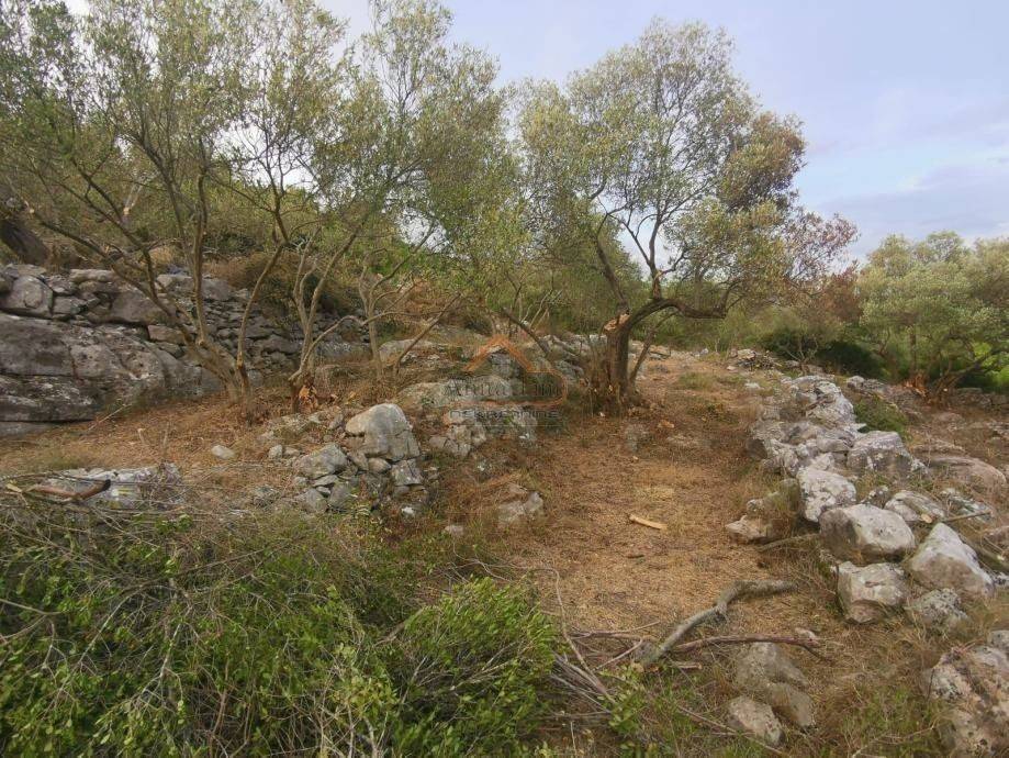 Plot for construction, Sale, Korčula, Čara
