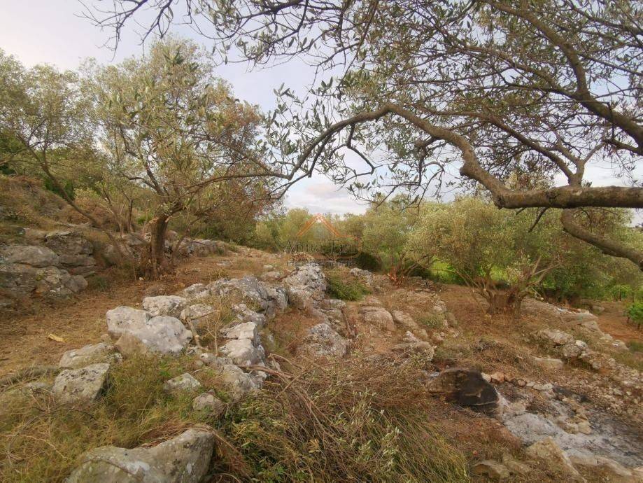 Plot for construction, Sale, Korčula, Čara