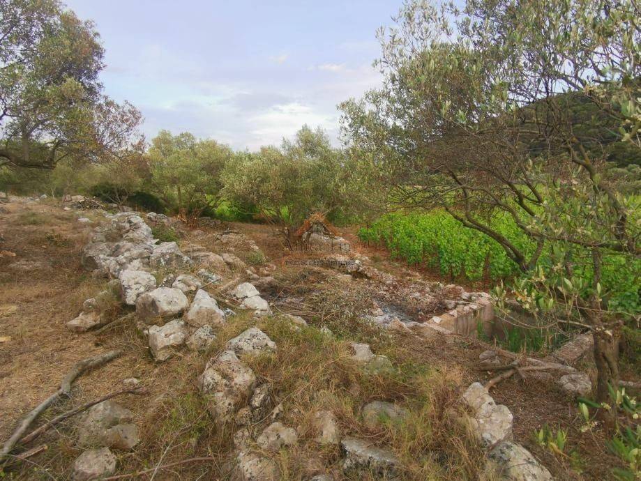 Plot for construction, Sale, Korčula, Čara