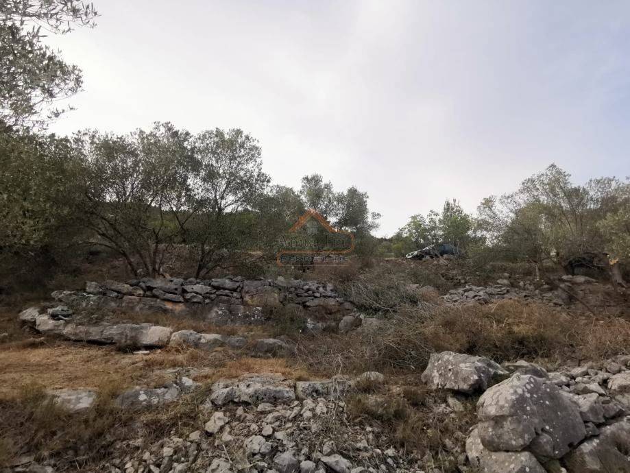 Plot for construction, Sale, Korčula, Čara