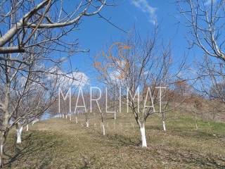 Jastrebarsko, Gornja Jaska