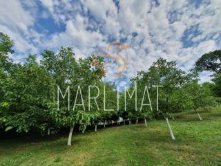 Jastrebarsko, Gornja Jaska