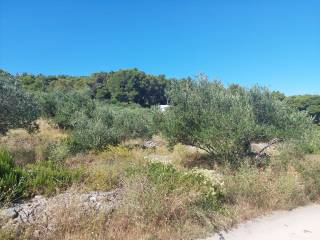 Agricultural plot, Sale, Split - Okolica, Slatine