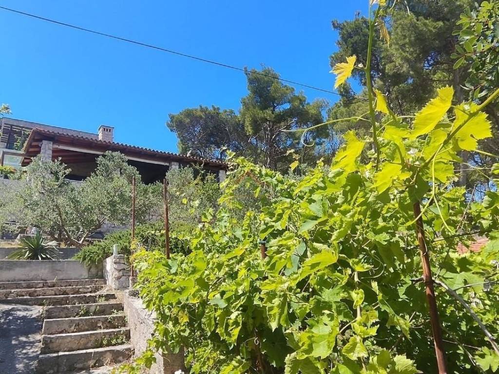 Detached house, Sale, Šibenik - Okolica, Zlarin