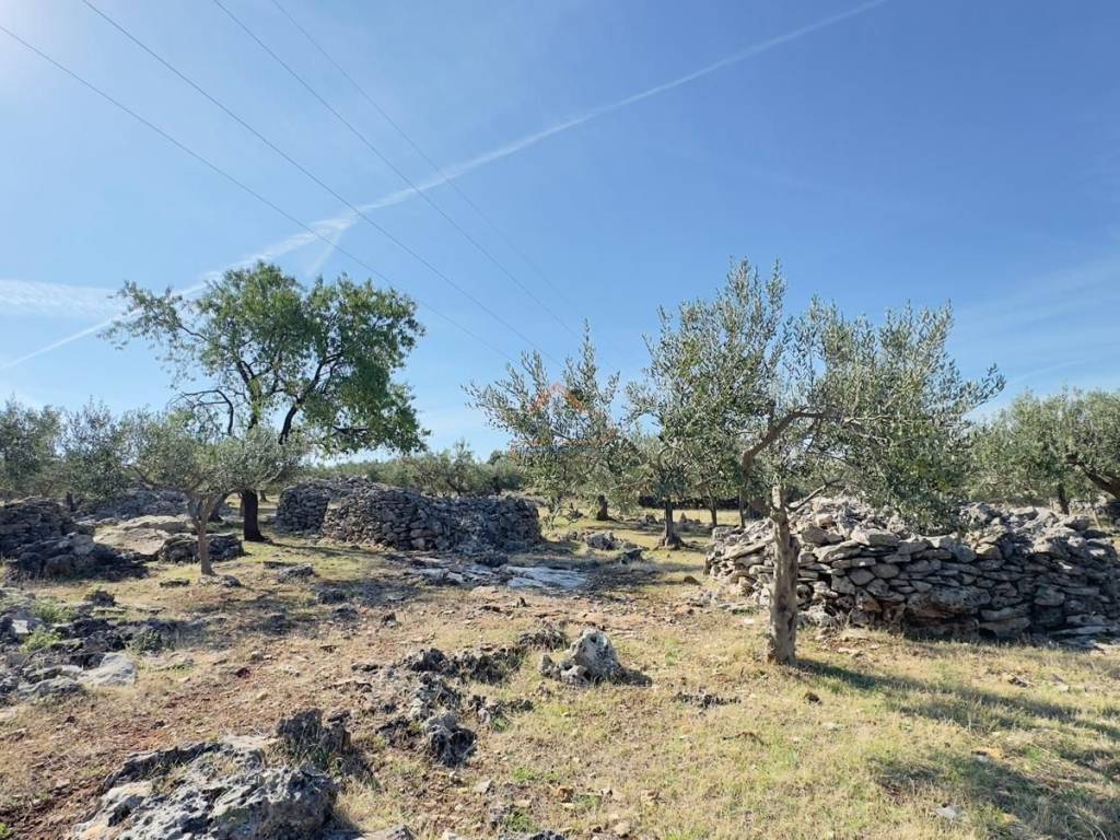 Agricultural plot, Sale, Postira, Postira