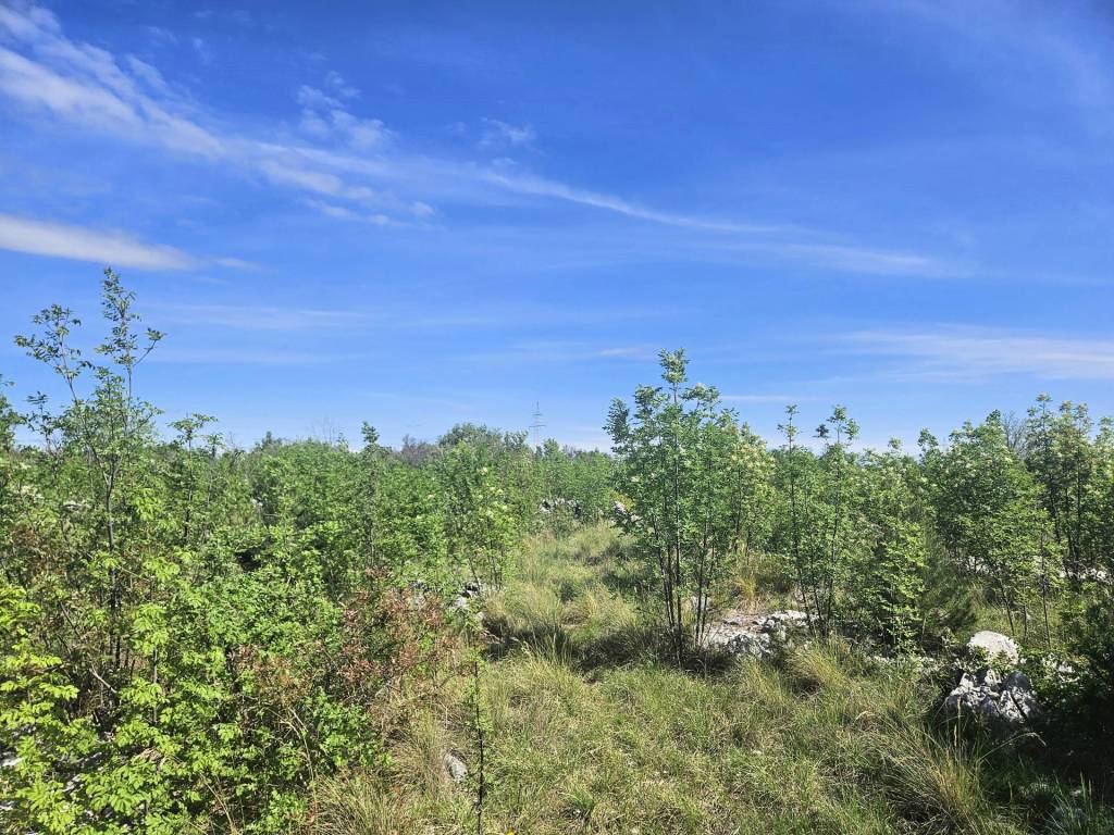 Sibenik - Okolica, Lozovac