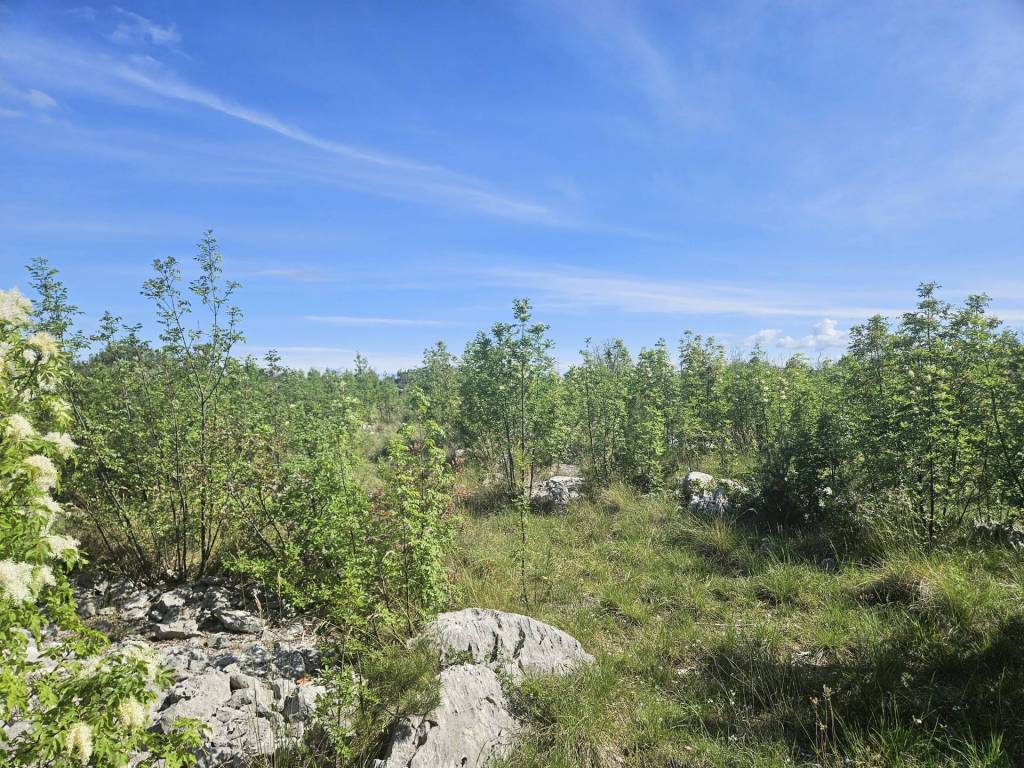 Sibenik - Okolica, Lozovac