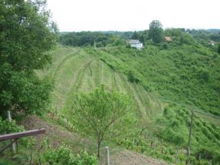 Donja Voca, Gornja Voca