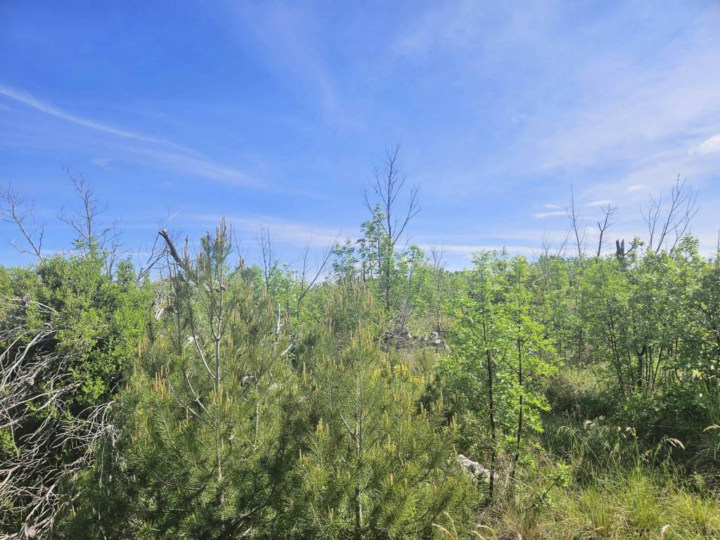 Sibenik - Okolica, Lozovac