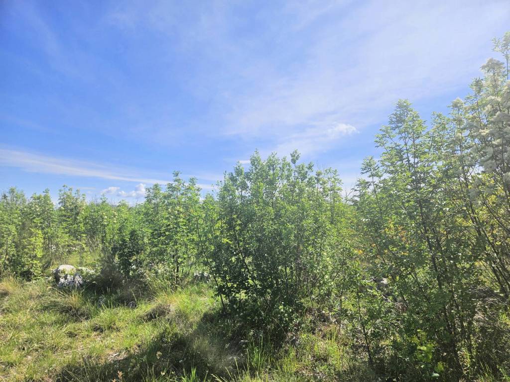 Sibenik - Okolica, Lozovac