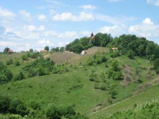 Donja Voca, Gornja Voca