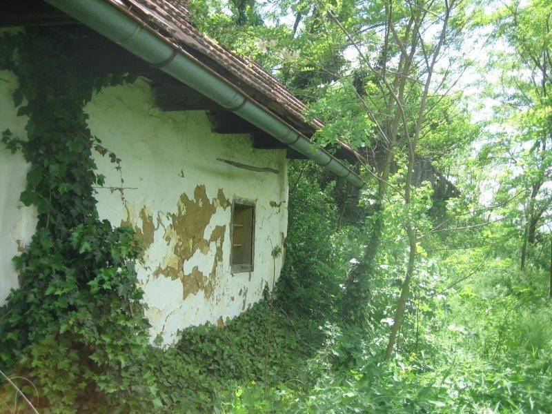 Donja Voca, Gornja Voca