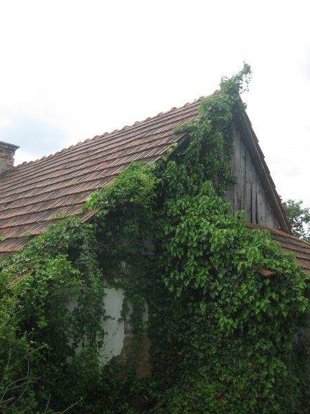 Donja Voca, Gornja Voca