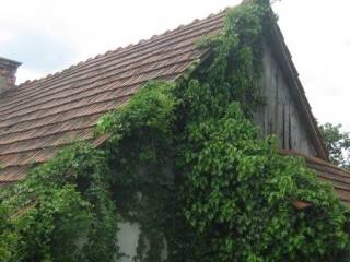 Donja Voca, Gornja Voca