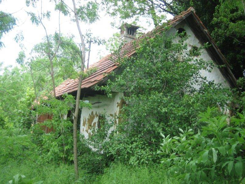 Donja Voca, Gornja Voca