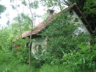 Donja Voca, Gornja Voca