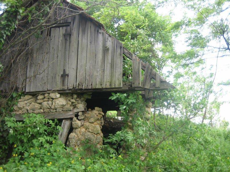 Donja Voca, Gornja Voca