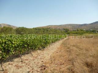 Poljoprivredno, Prodaja, Šibenik, Šibenik