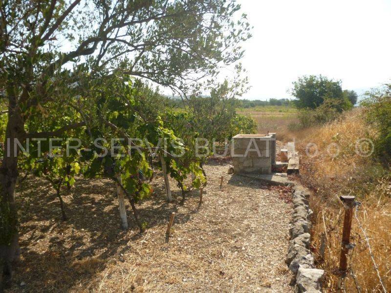 Poljoprivredno, Prodaja, Šibenik, Šibenik