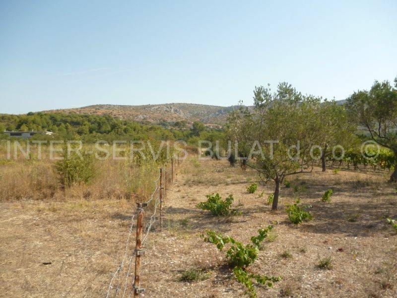 Poljoprivredno, Prodaja, Šibenik, Šibenik