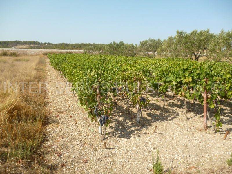 Poljoprivredno, Prodaja, Šibenik, Šibenik