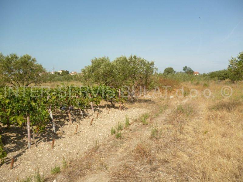 Poljoprivredno, Prodaja, Šibenik, Šibenik