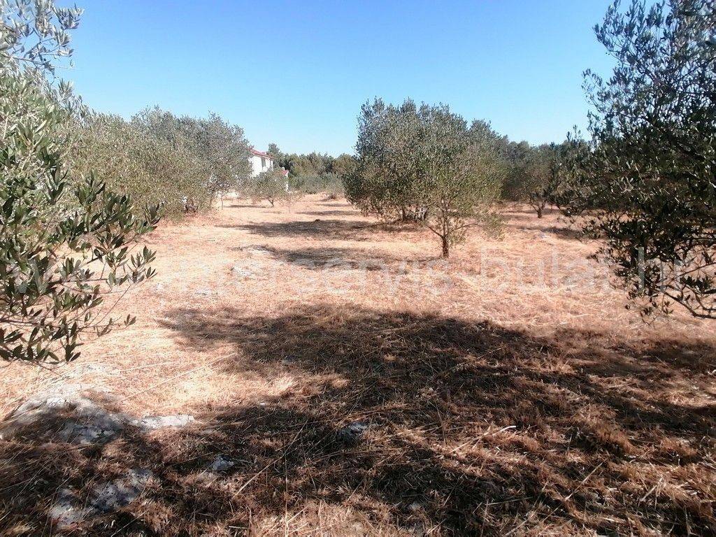 Kuća prizemnica, Prodaja, Šibenik - Okolica, Brodarica