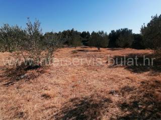 Kuća prizemnica, Prodaja, Šibenik - Okolica, Brodarica