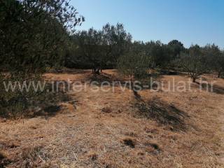 Kuća prizemnica, Prodaja, Šibenik - Okolica, Brodarica