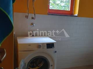 Plaski, Jezero I Dio