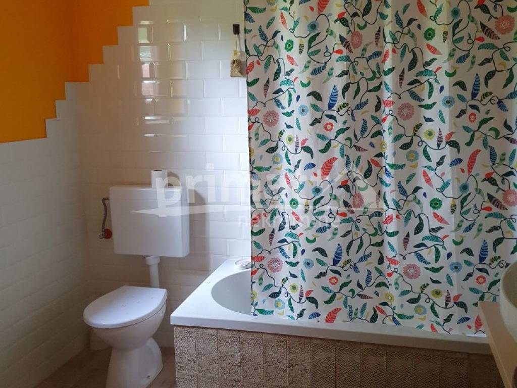 Plaski, Jezero I Dio