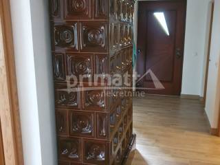 Plaski, Jezero I Dio