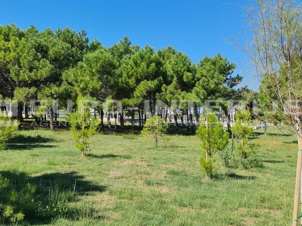 Gradjevinsko zemljiste u Sabunikama povrsine 1.091 m2.