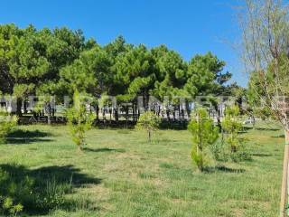 Gradjevinsko zemljiste u Sabunikama povrsine 1.091 m2.