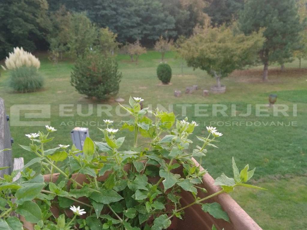 KLOSTAR IVANIC, prodaja kuca Sobocani - dvoriste 