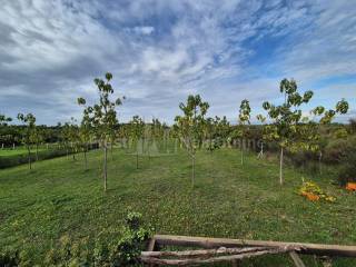 Samostojeća kuća, Prodaja, Zadar, Zadar