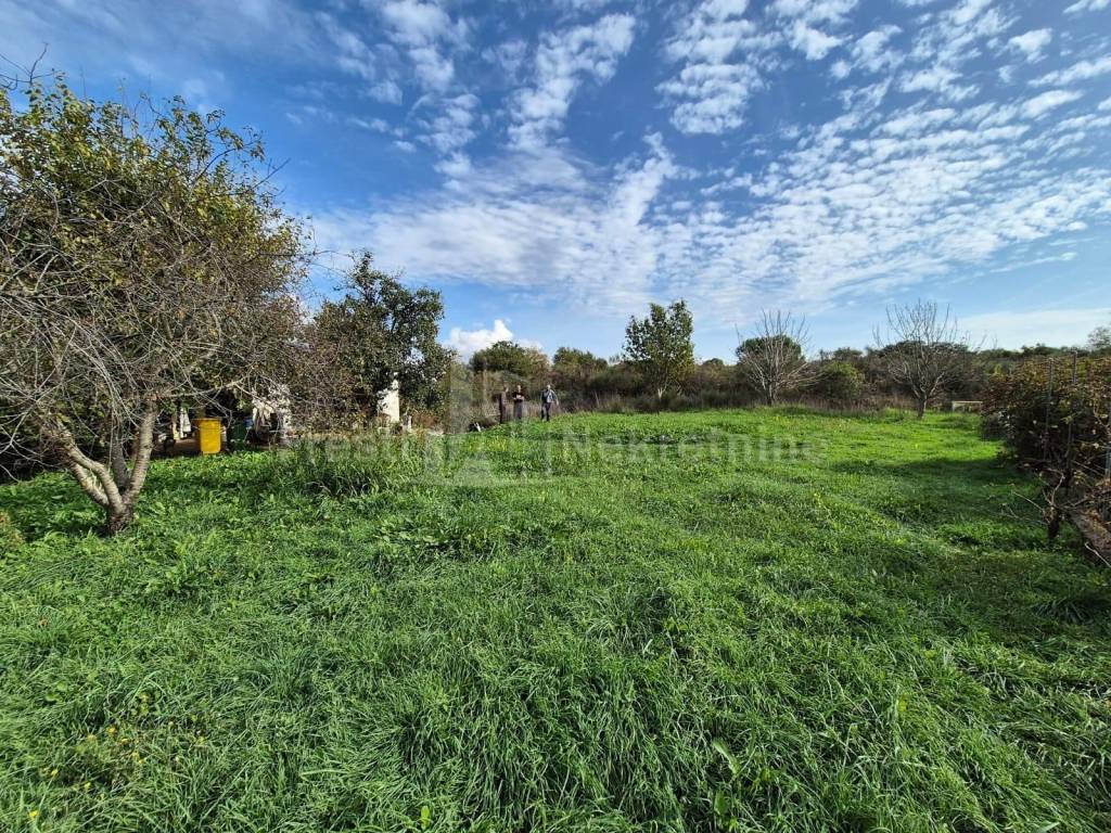 Samostojeća kuća, Prodaja, Zadar, Zadar